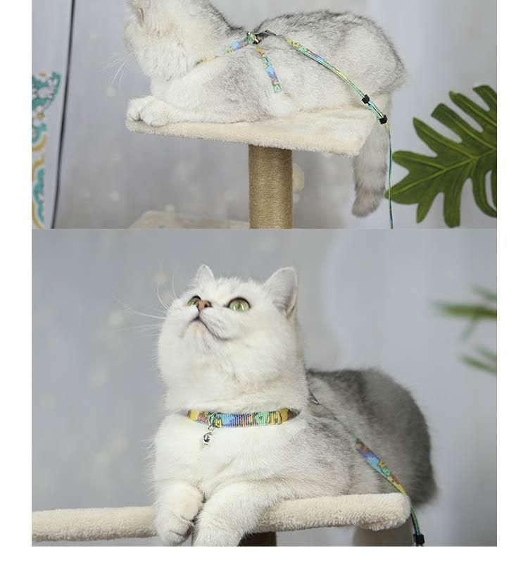 Outdoor Convenient Adiust Neck and Chest Size Roundess Pattern Cat Harness and Leash