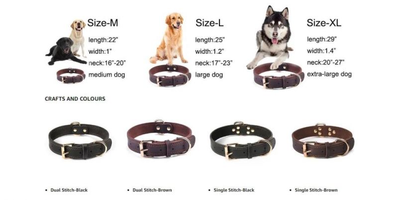 Heavy Duty 350lb Pull Power Leather Dog Collar