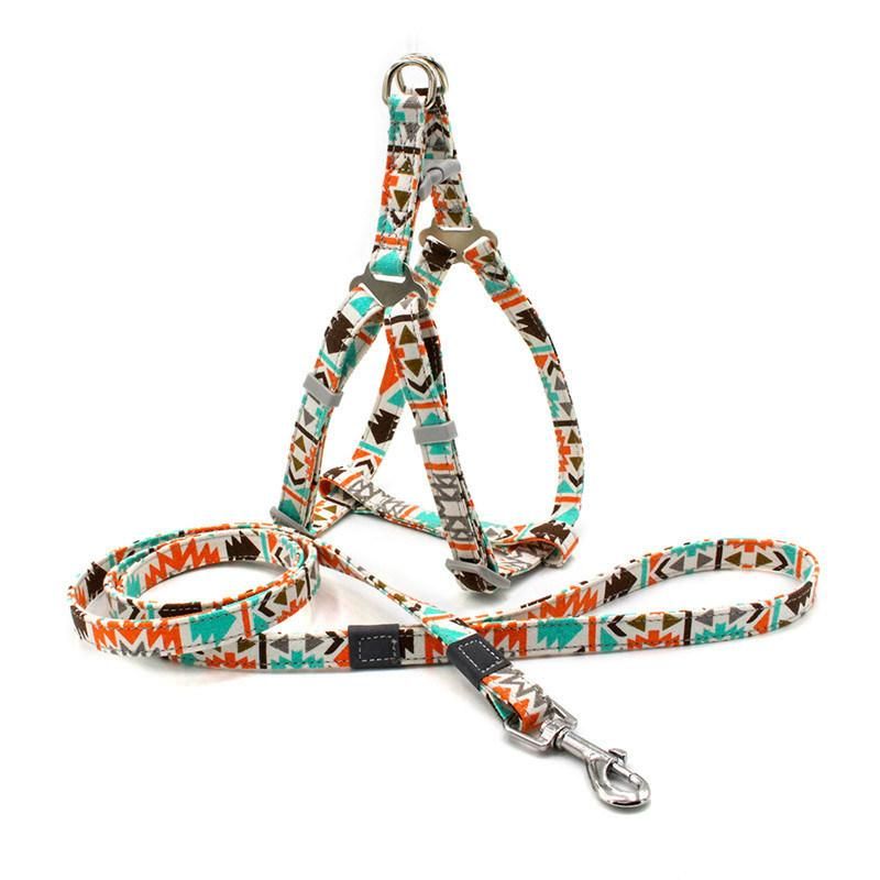 Bohemia Design Dog Leash and Back Set