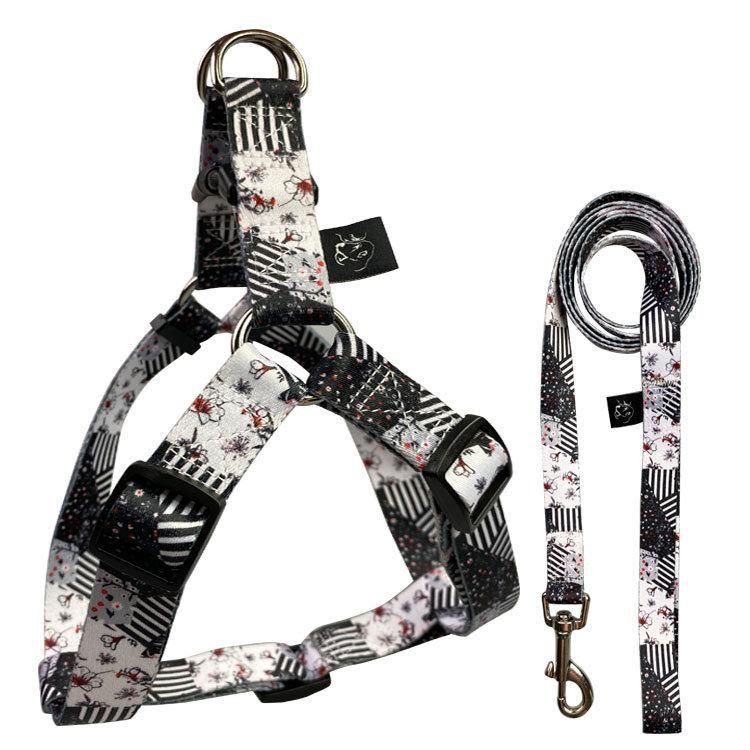 Personalized Pet Dog Leash Harness Set for Pet Animal Daily Walking