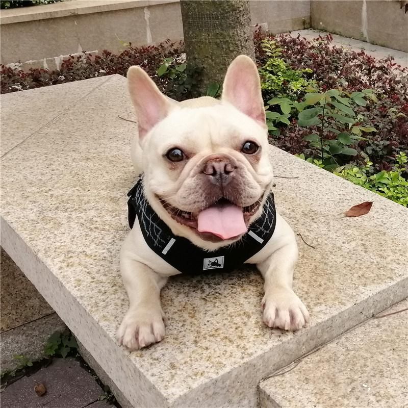 Pet Dog Leads Chest Straps Comfortable Harnesses Vest Dog Harness Pet Accessoires