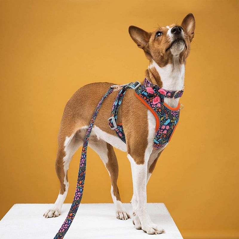 Personalised Custom Logo Adjustable Printed Dog Collar Leash and Harness
