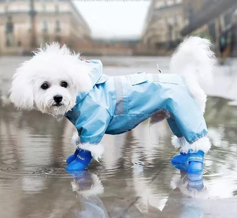 Wholesale Dog Shoes Candy Colors Dog Rain Boots Waterproof Dog Rain Shoes