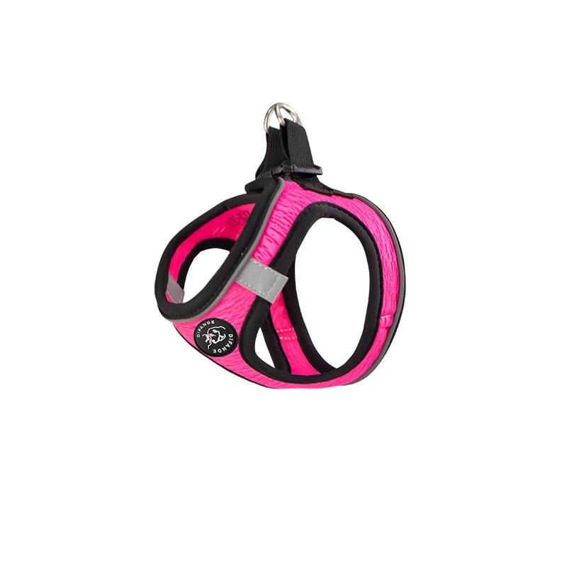 Cat Harness and Leash Set for Walking Cat and Small Dog Harness Adjustable Dog Harness