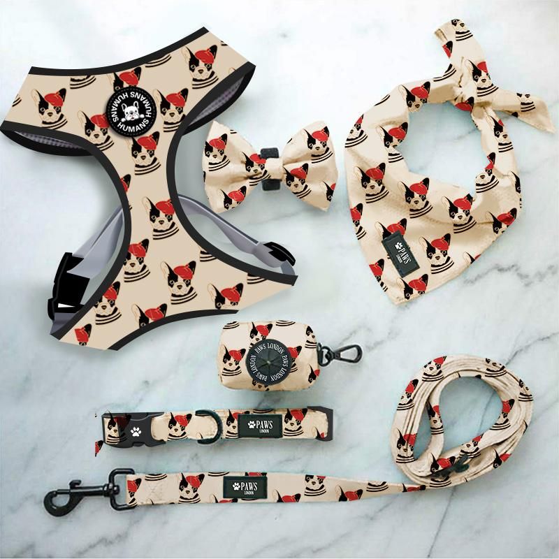 Loro Pet Customize Soft Pet No Pull Adjustable Dog Harness Leash Set Custom Reversible Small Designer Harness Vest Dog Harness