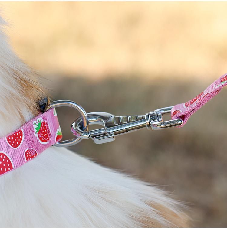 New Fashion Pet Products Large Nylon Custom Print Pink Dog Leash with Logo