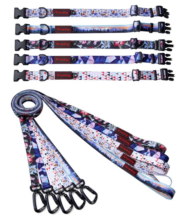 Custom Logo Printed Nylon Pet Dog Collar and Leash Set