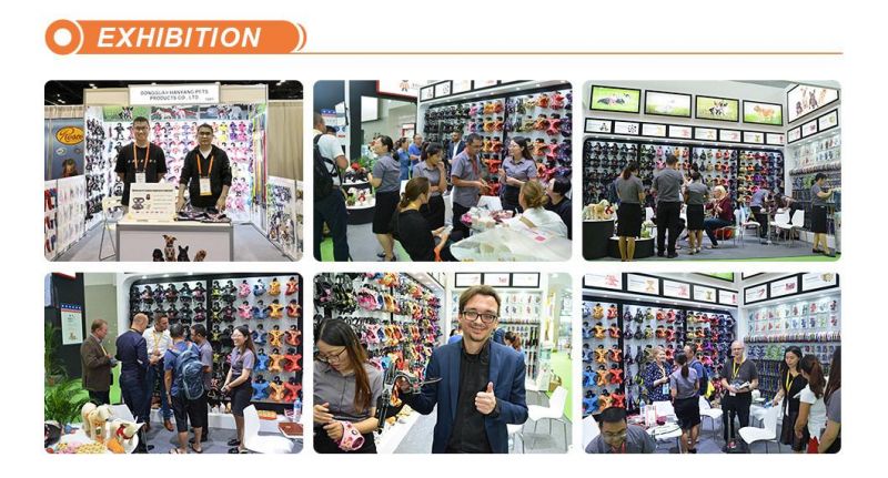 Dog PVC Paper Medium: 2.0cmx32-50cm Guangdong Custom Wholesale LED Training Collar Hot