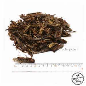 Pet Foods Dried Fish Food Grasshopper for Aquariums