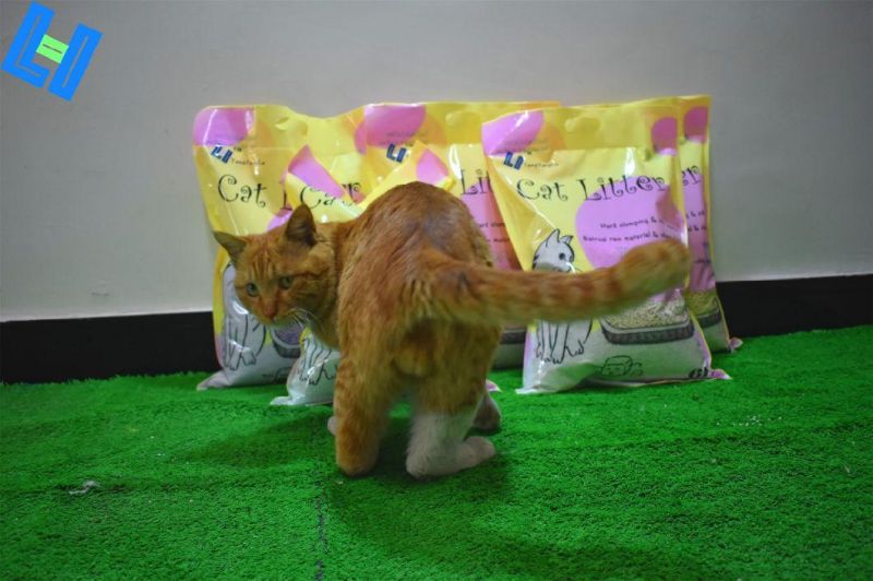 Cat Toilet Product: Tofu Cat Litter