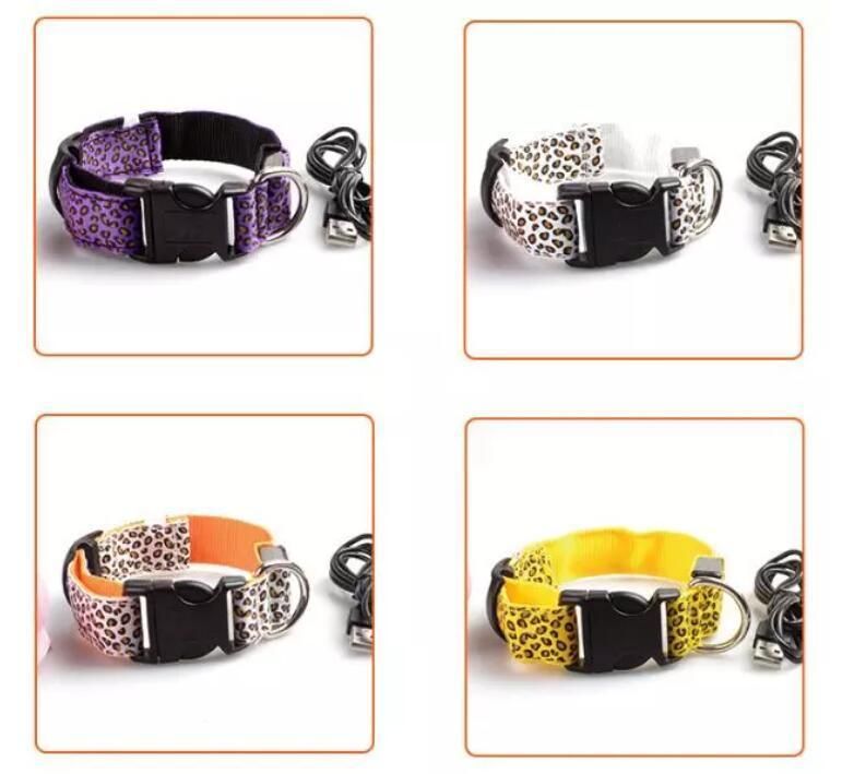 Adjustable USB Rechargeable Glow Light up LED Pet Dog Collar for Small Medium Dog
