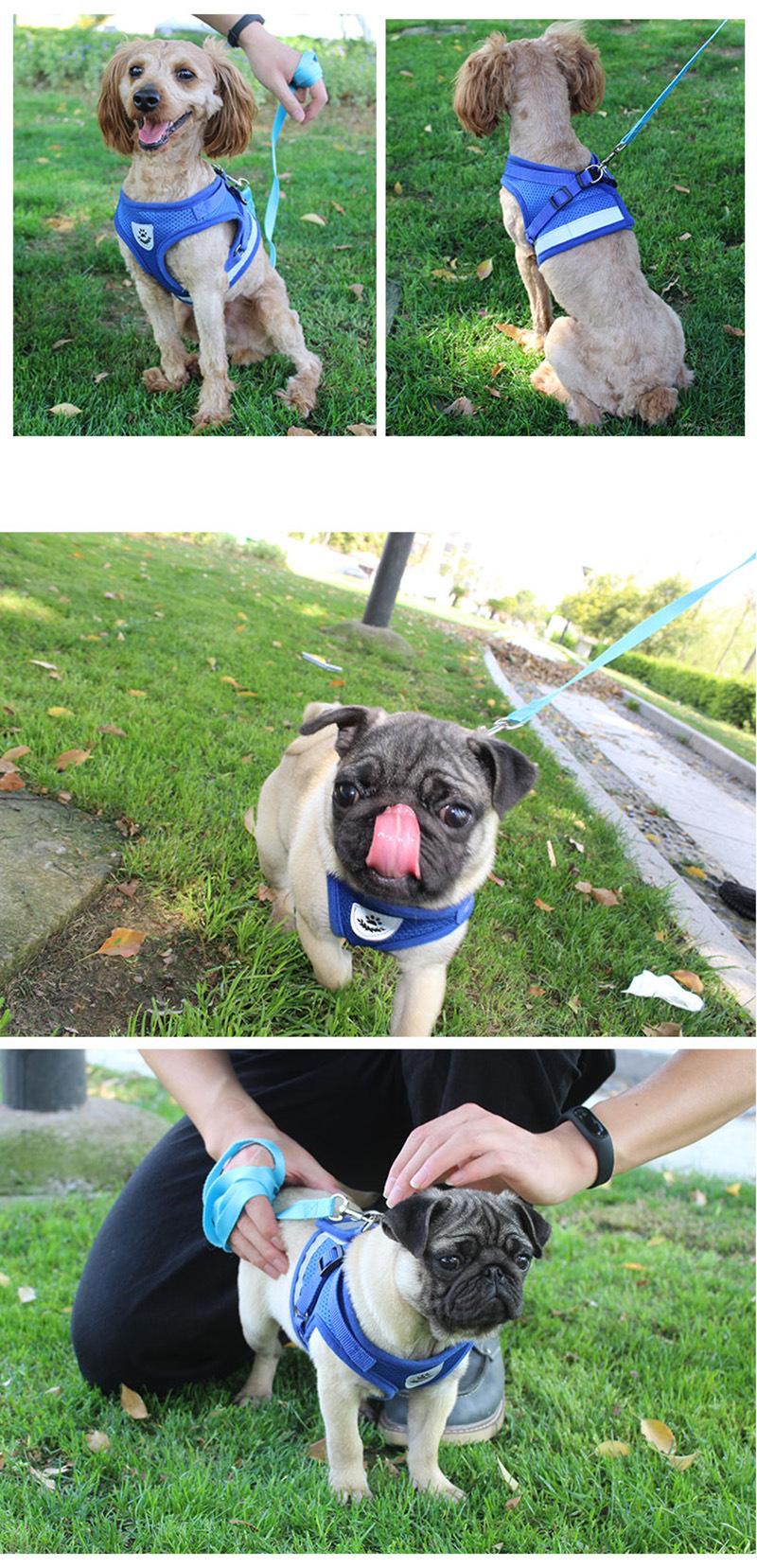 Nylon Mesh Puppy Pet Cat Harness & Leash Set Reflective Pet Dog Vest Harness