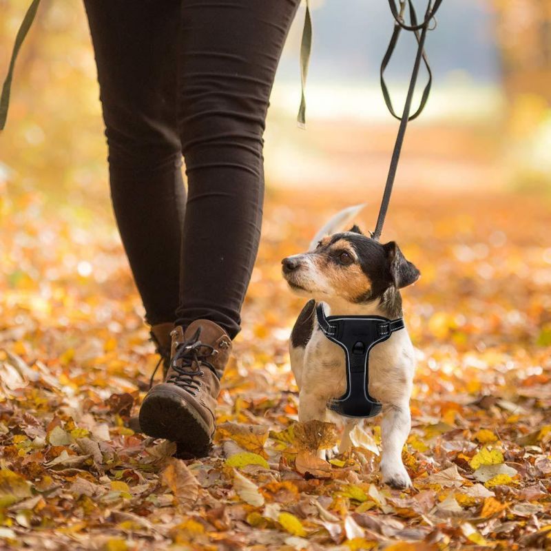 Dog Harness for Medium Pet No-Pull Reflective Breathable Adjustable Pet Vest with Handle for Outdoor Walking
