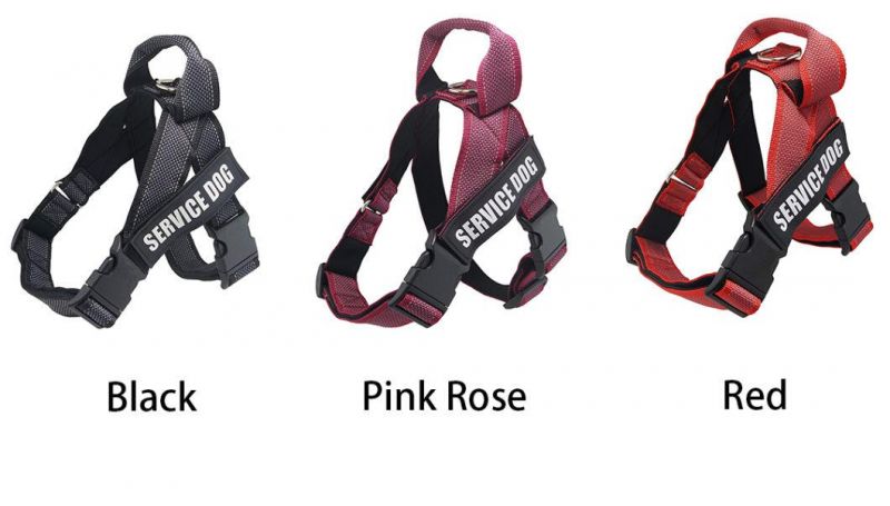 K9 IDC Color & Gray Belt Harness for Dogs