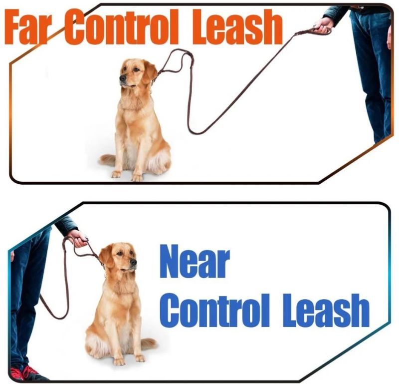 Heavy Duty Leather Dog Leash with 2 Handles