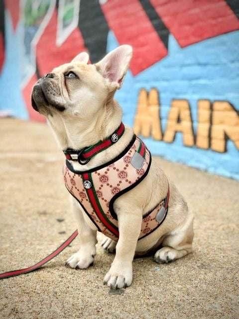 Padded Adjustable Soft Mesh Customized Pattern Printing Dog Harness