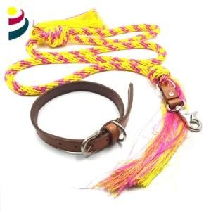 Genuine Leather Collar and Nylon Braided Leash Dog Set