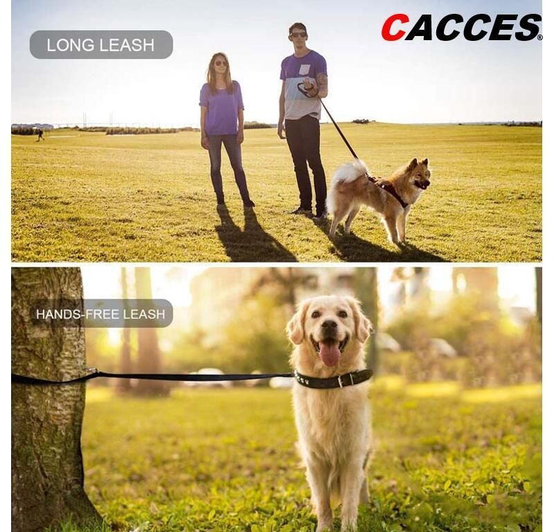 OEM 2/3/4/5/6/7/8/9/10m Long No Pull, No Slip Dog Lead Leash Training Lead Outdoor Dog Lead, Universal Amazon Best Seller Durable Dog Walking Leash for Dog