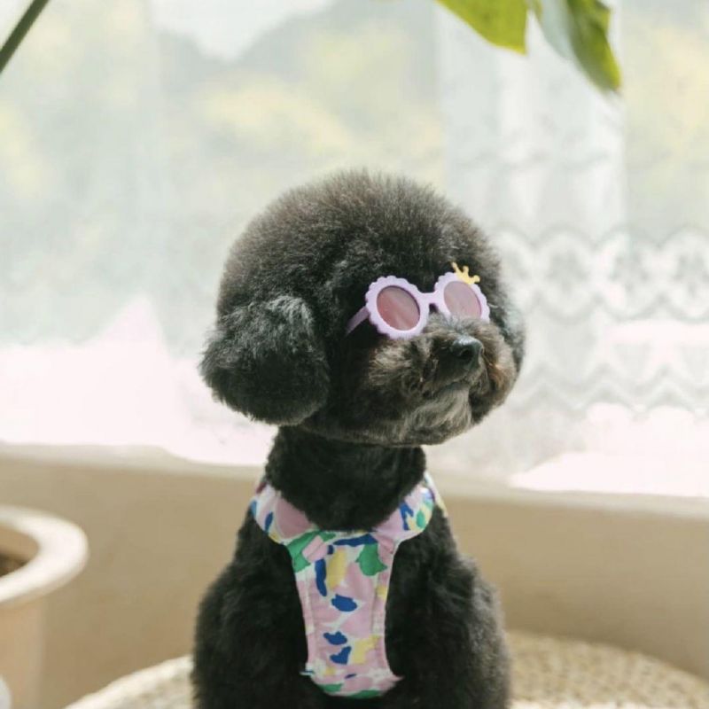 Wholesale High Quality Plastic Flower Toy Sunglasses for Dog and Cats