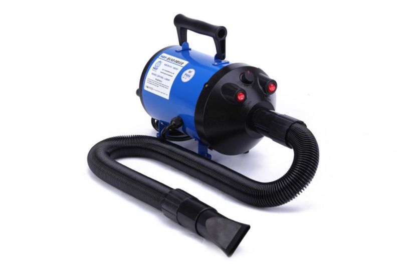 Kitten Grooming Dog Hair Dryer for Sale