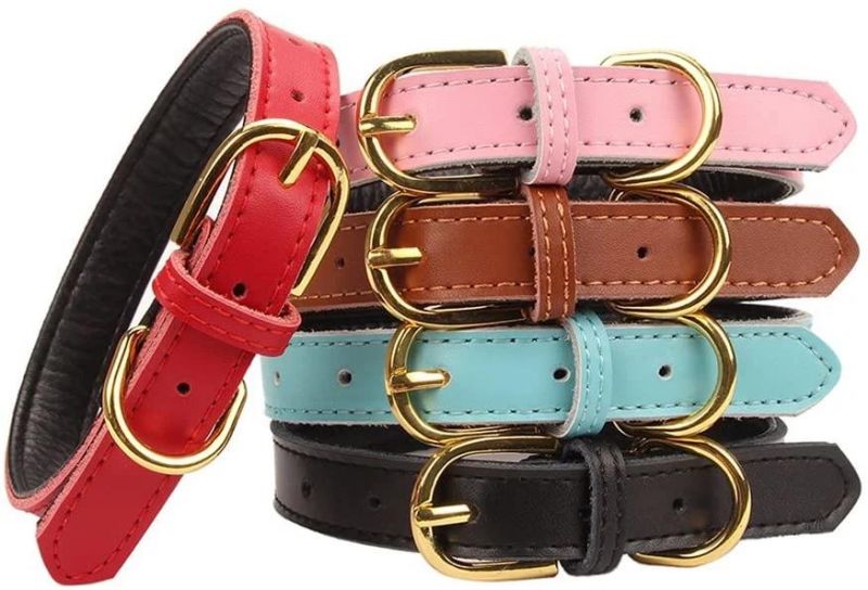 Amazon Hot Sell Basic Classic Padded Leather Pet Collars