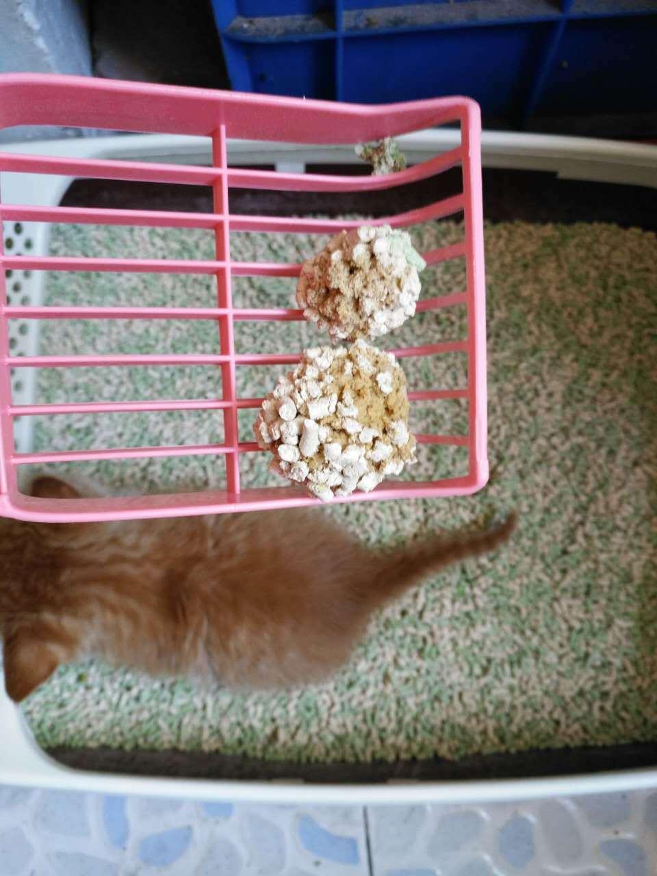 Flushable Tofu Cat Litter