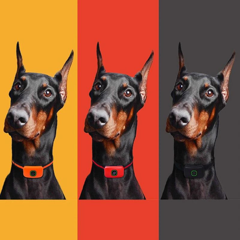 Rechargeable Waterproof Remote Electronic Dog Training Collar/Customized Size/Red/Orange