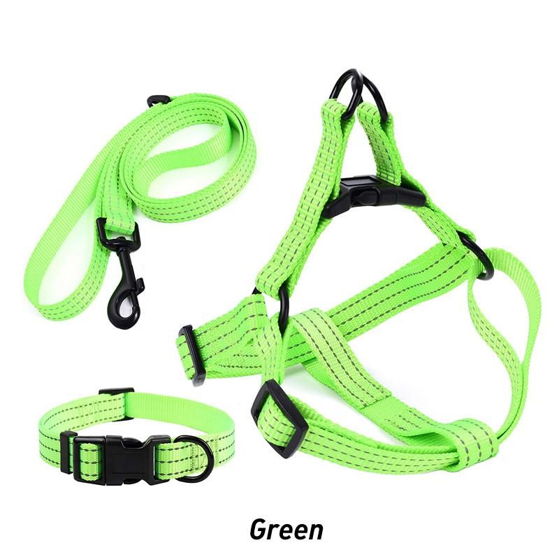 Personalized Reflective Adjustable Nylon Pet Dog Collar Leash Harness Set