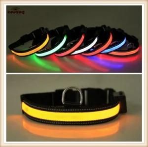 Solar Energy LED /USB Rechargeable Dog Collar Dog Leash (KC0116)