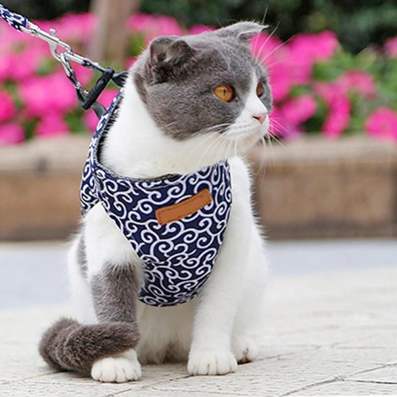 Wholesale Price Japanese Style Kitten Pet Products Supply Dog Leash Cat Harness Vest