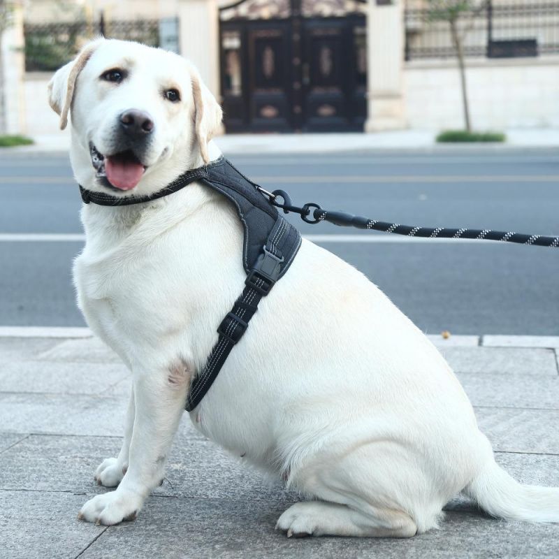 Dog Harness Vest Customized Reflective Adjustable Pet Harness