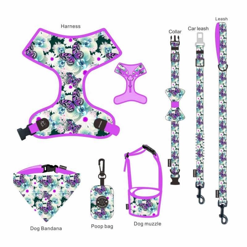 2021 Printed Pet Traction Rope Dog Harness Set Reflective Dog Chest Strap Suit Cat Rope Pet Supplies