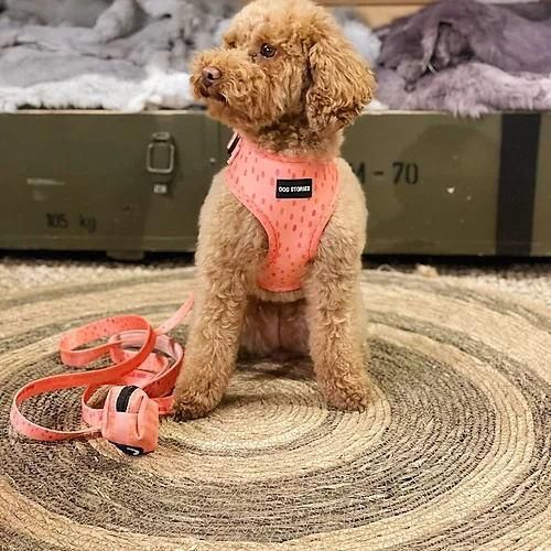 Padded Adjustable Soft Mesh Customized Pattern Printing Dog Harness