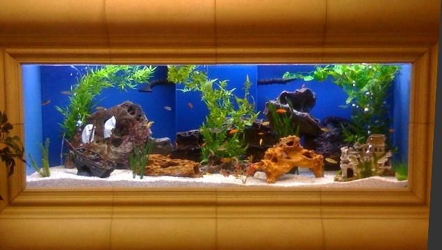 Good Fish Tanks, Custom Glass Aquarium Price (BLP-T004)