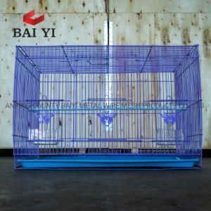 New Design Metal Wire Mesh Cage and Aviary Birds for Sale