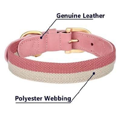 Best Selling Products Comfort Ultra Soft Pet Collar Dog Chest