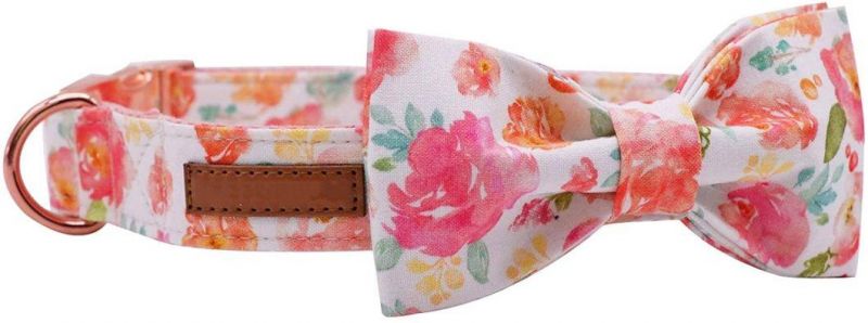 Durable Metal Buckle Custom Sublimation Dog Collar