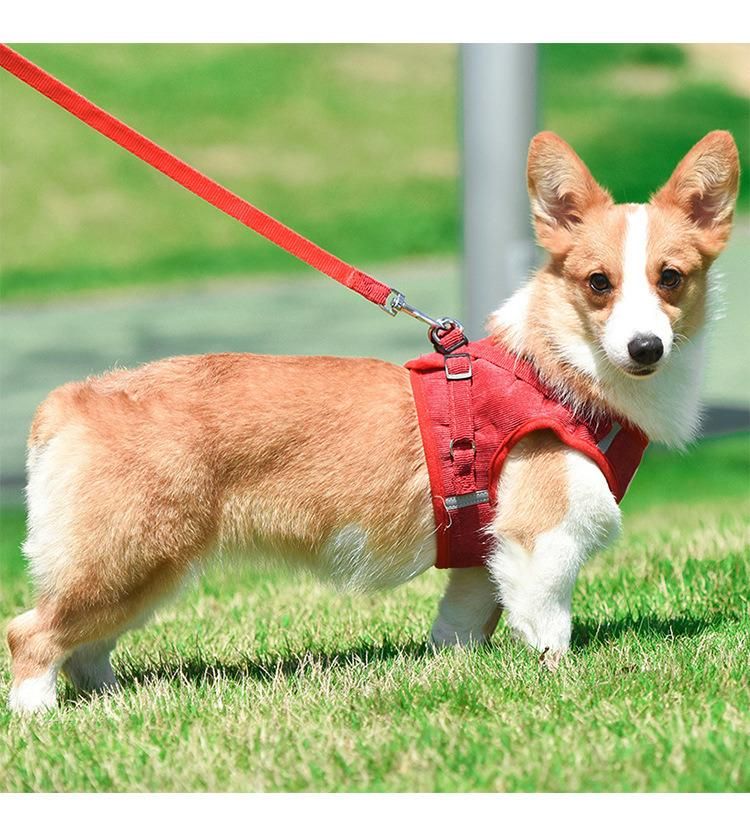 Amazon Reflective Soft Padded Dog Harness Lead