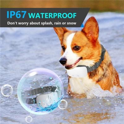High-Quality and Stylish Waterproof Electronic Rechargeable Static Shock Vibration Remote Control Pet Dog Training Collar