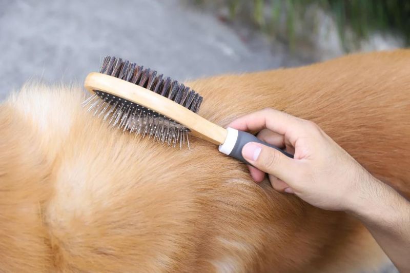 Pet Accessories Grooming Dog Cleaning Brush