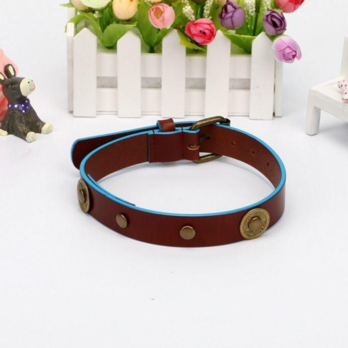 Hot Sale Tassel Gold Hardware Genuine Leather Dog Leash and Collar