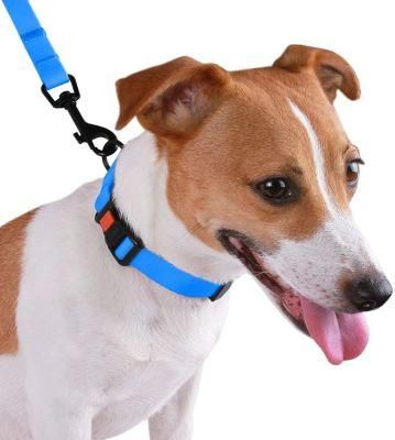 OEM Dog Collar Colorful Waterproof Pet Dog Collar Pet Necklace