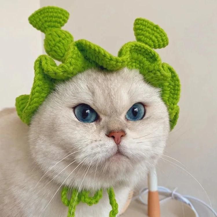 Pet Accessories Clothing Green Shrek Hat Funny Wool Hand Knitted Ruffian Net Red Cat Cute Headgear