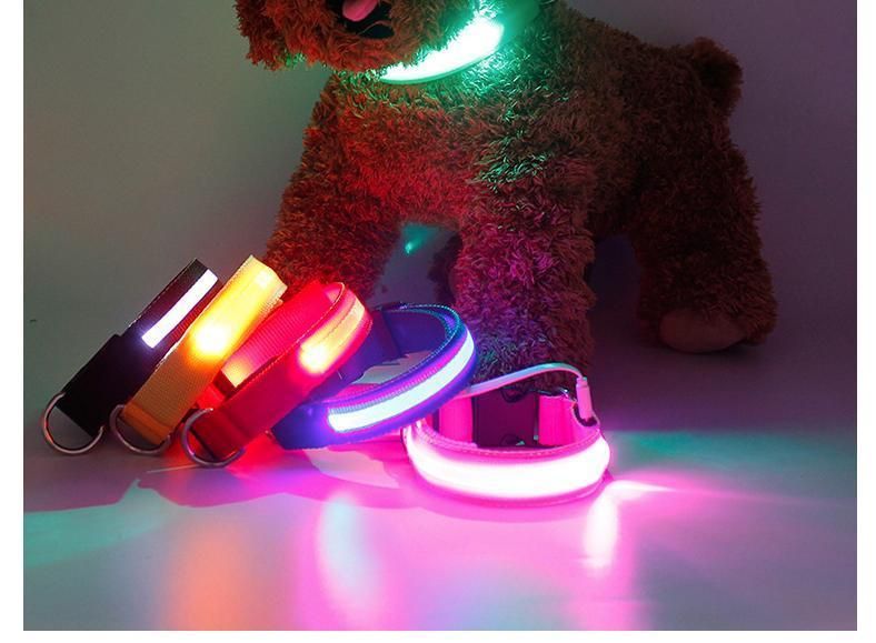 USB Rechargeable Flashing LED Nylon Safety Dog Collar