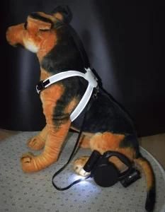 Pets Accessories LED Dog Vest with Leash Made in China
