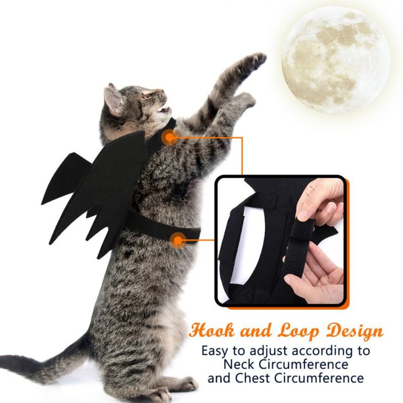 Collar Cosplay Bat Costume Pet Bat Wings for Halloween Party