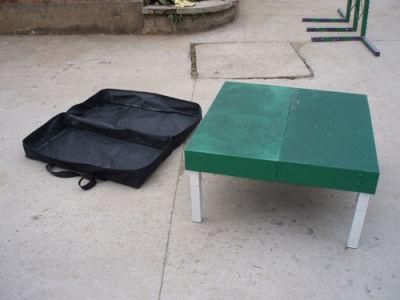 Dog Agility Dog Training Pause Table (GW-DT05)