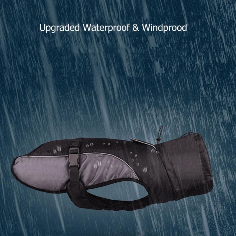 Windproof Hight Collar Dog Jacket with Reflective Strips
