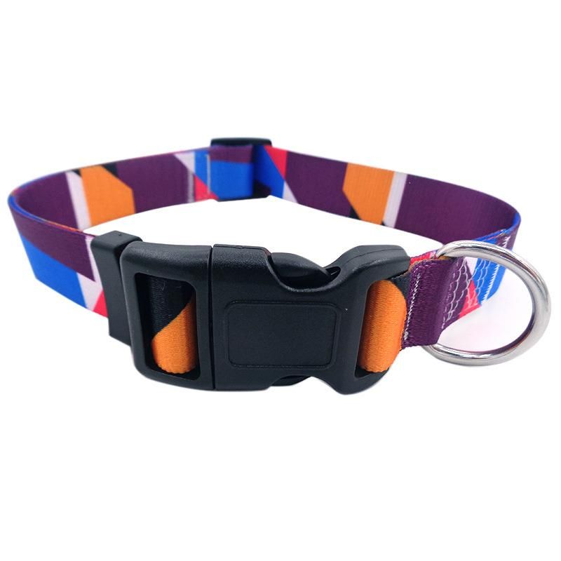 Double Buckle Collar Pet Collar Comfortable Material Dog Collar