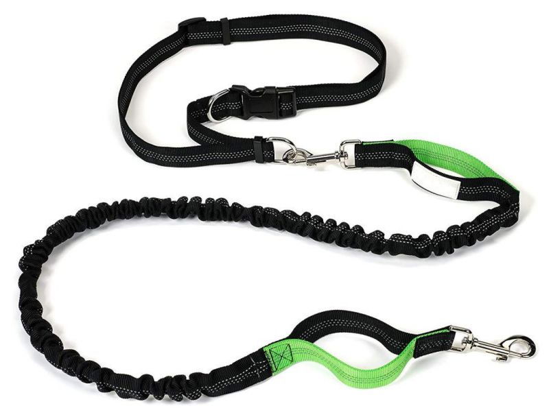 Dual Handle Reflective Shock Absorbing Bungee Dog Leash
